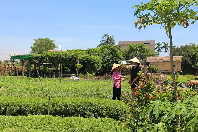 Farming with the Local Famers - Head-shoulder-foot massage before lunch: the best reset