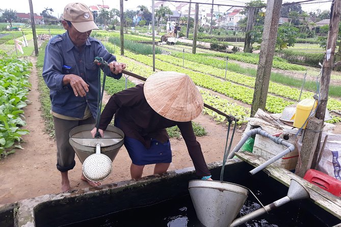 From AUTHENTIC FARMER'S LIFE to ECO RIVER FISHING EXPERIENCE - Price and Value: What $34 Buys in Hoi An