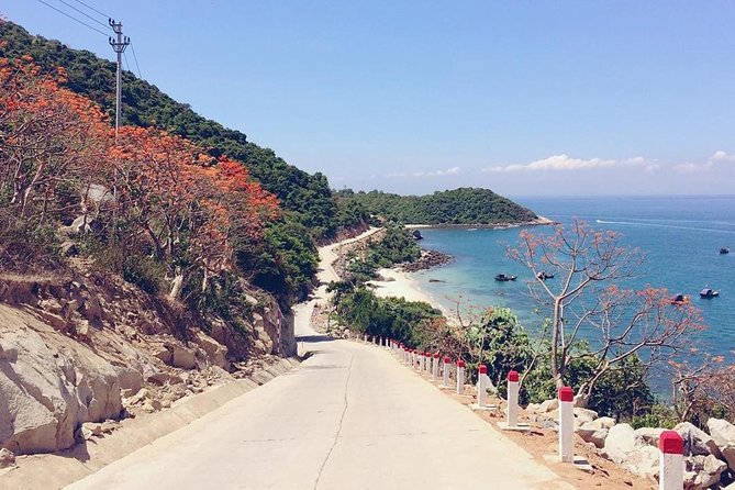 From Da Nang/ Hoi An: Cham Island Day Tour with snorkeling fun - Pickup, Dock, and Timing: Where the Minutes Go