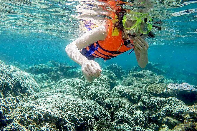 From Da Nang/ Hoi An: Cham Island Day Tour with snorkeling fun - Lunch and Beach Breaks: The Part That Keeps Families Happy