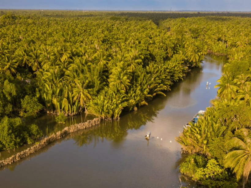 From Ho Chi Minh: My Tho Ben Tre Mekong with Lunch - Key highlights worth planning around
