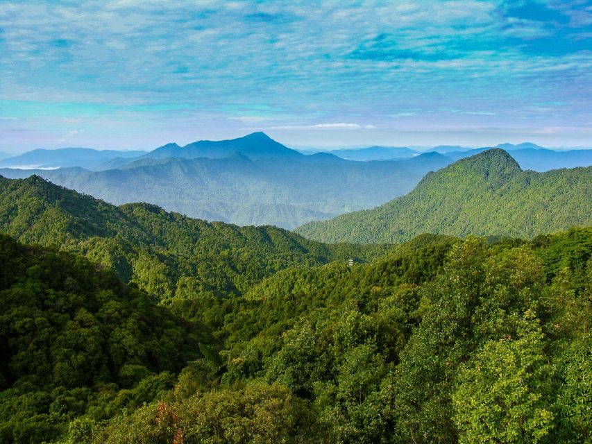 From Hue/Da Nang/Hoi An: Bach Ma National Park Trekking Tour - Hai Vong Dai Peak: where the day pays you back