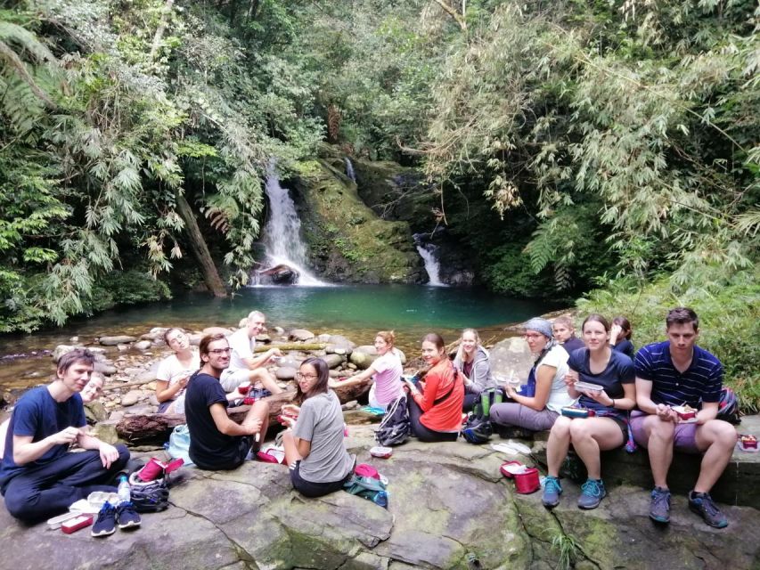 From Hue/Da Nang/Hoi An: Bach Ma National Park Trekking Tour - Picnic lunch in the park: what you get and how to pack it