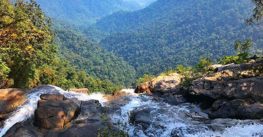 From Hue/Da Nang/Hoi An: Bach Ma National Park Trekking Tour - Guide team impact: what you actually learn on this trek