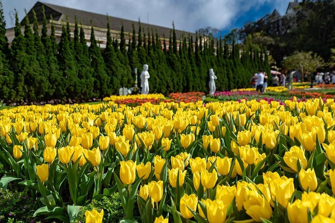 Full day Ba Na Hill with Cable Car and Lunch from Da Nang - Fantasy Park: Why This Is the Part Families and Fun-Lovers Remember