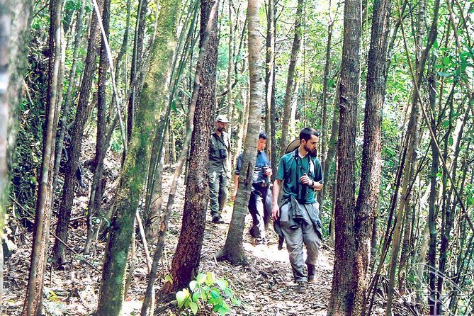 Full day: Hoi An - Bach Ma National Park - The Summit Hike: Views at 1,450 Meters and What to Expect