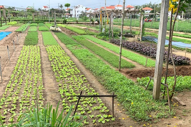 Full Experience Tour: Cooking Class & Basket Boat at Eco-Village - Key Things I’d Prioritize