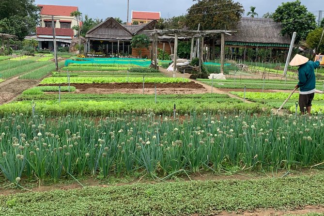 Full Experience Tour: Cooking Class & Basket Boat at Eco-Village - Basket Boat Rowing: A Quieter Side Of Hoi An