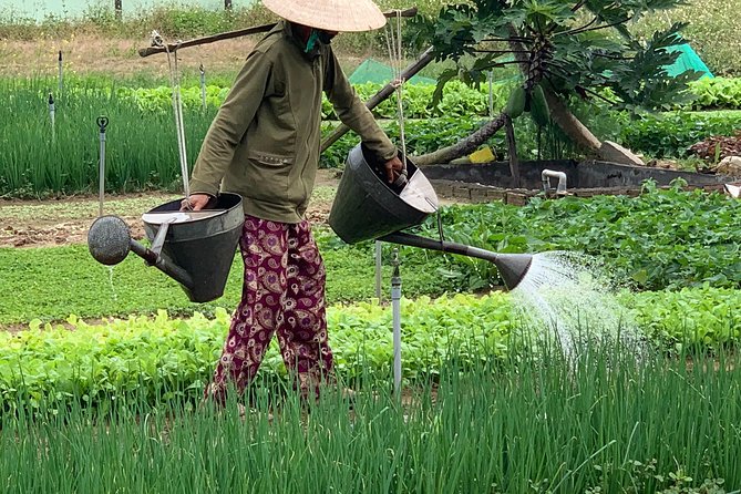 Full Experience Tour: Cooking Class & Basket Boat at Eco-Village - Tra Que Vegetable Village: Biking Rice Fields And Working With Farmers