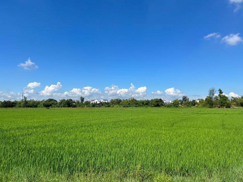 Funny day cycling, Buffalo riding and Basket boat - Entering Hoi An countryside, starting at the post office