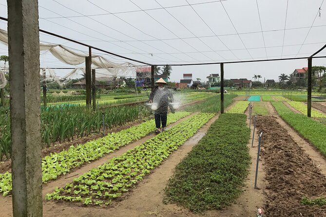 Gardening at Tra Que Vegetable Village and cooking class - Herbal Foot Wash and Foot Massage to Reset
