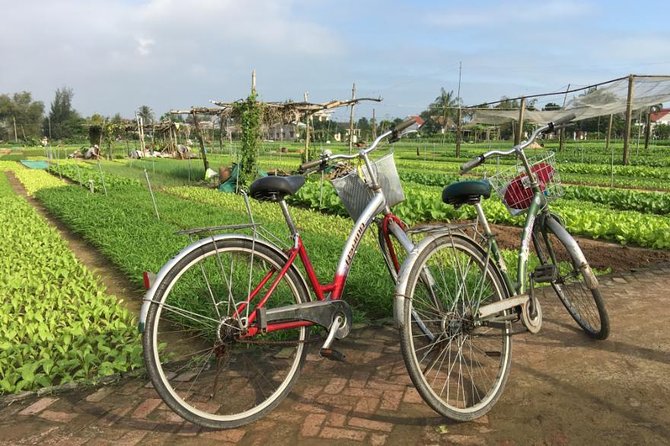 Half Day Cooking Class At Tra Que Vegetable Village Hoi An - Cycling the flat back roads to Tra Que Vegetable Village