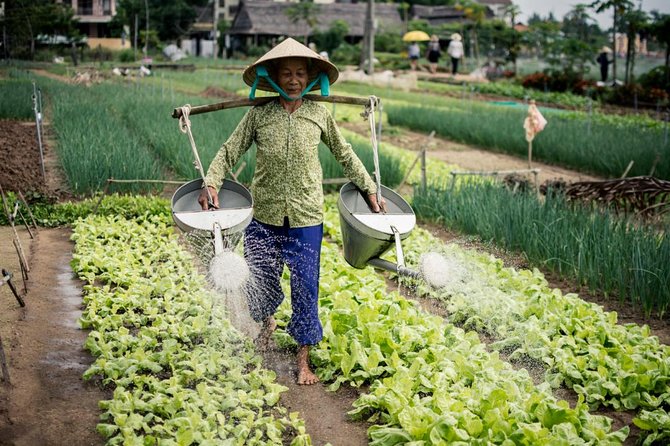 Half Day Cooking Class At Tra Que Vegetable Village Hoi An - Meeting farmers, herb plots, and traditional farm work