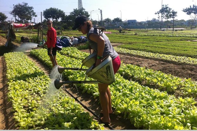 Half Day Cooking Class At Tra Que Vegetable Village Hoi An - Price, group size, and value at $71