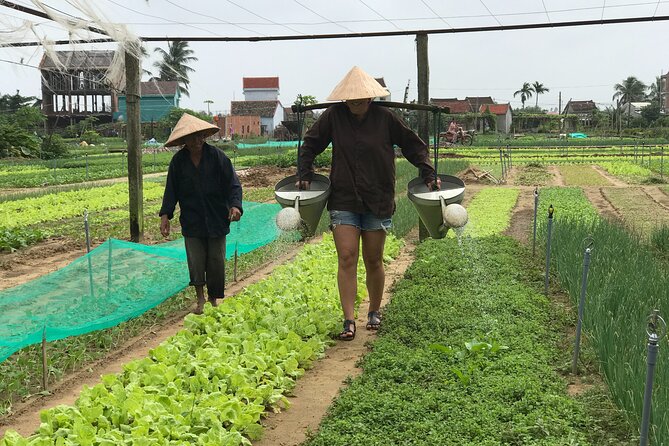 Half-Day Hoi An Countryside and Villages Tour by Bike - Why This Hoi An Countryside Bike Loop Feels Local