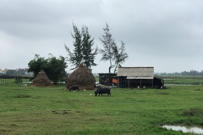 Half-Day Hoi An Countryside and Villages Tour by Bike - Thanh Ha Pottery Village: Cycle In, Watch the Steps, and Ask Questions