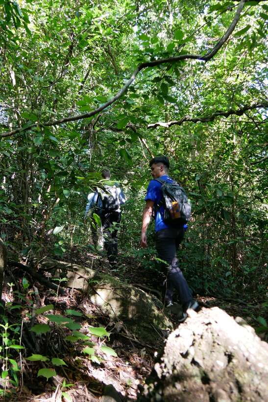 Hoi An: Amazing My Son Sanctuary and Mountain Trekking - Food, coffee, and the BBQ stop that keeps energy steady