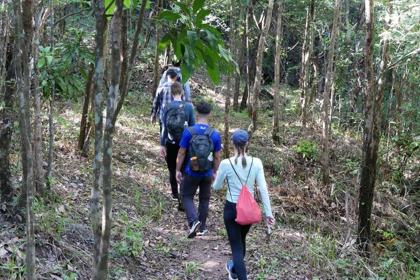 Hoi An: Amazing My Son Sanctuary and Mountain Trekking - Price and logistics: what your money covers