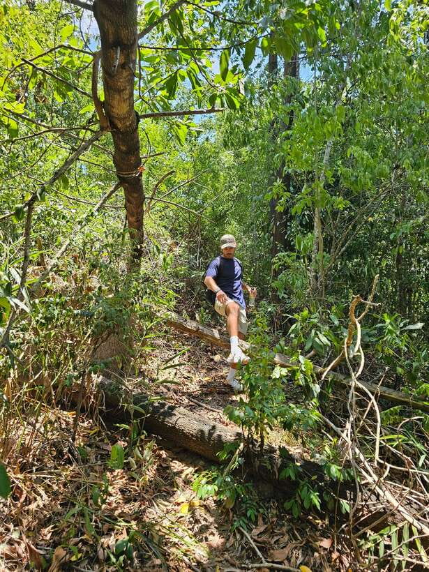 Hoi An: Amazing My Son Sanctuary and Mountain Trekking - Fitness level: how hard is it really?