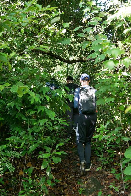 Hoi An: Amazing My Son Sanctuary and Mountain Trekking - Should you book this My Son jungle trek?