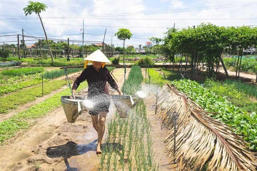 Hoi An: Authentic Cooking class in organic Herb Village - Tra Que, Hoi An’s Herb Village, Not a Theme Park