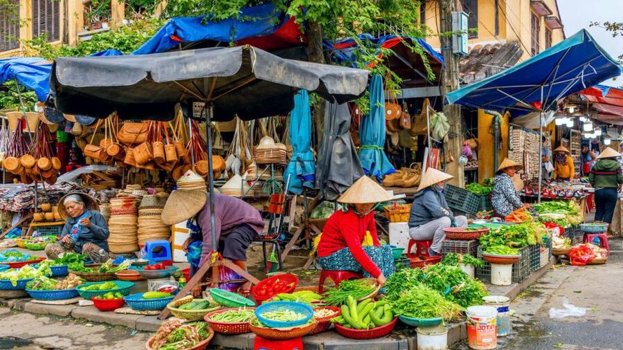 Hoi An: Authentic Cooking class in organic Herb Village - The Rice Field Cycle Through the Countryside (About 20 Minutes)
