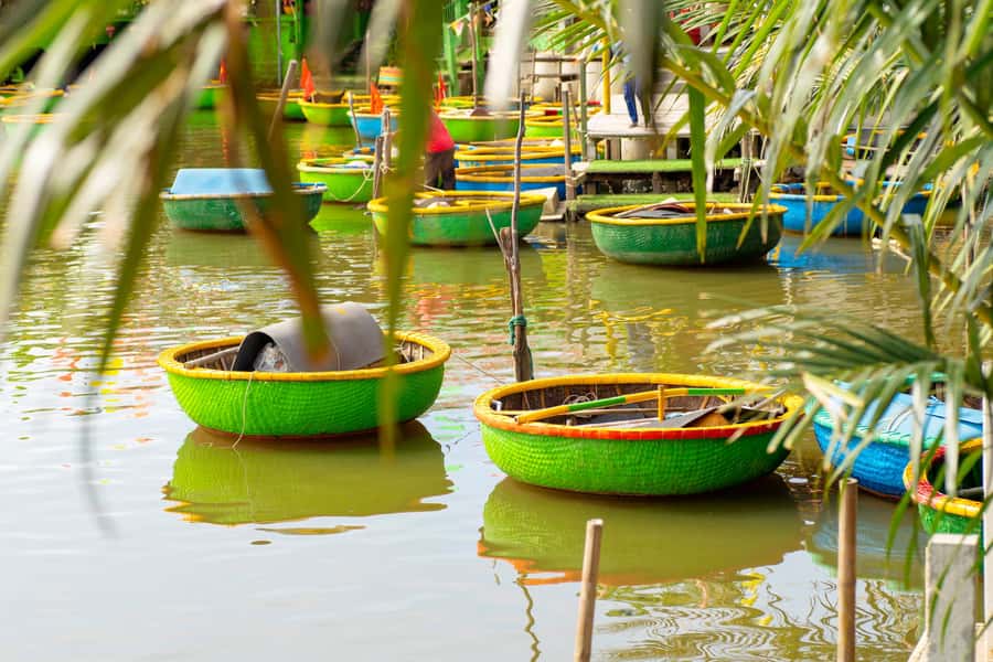 Hoi An: Authentic Vietnamese Cooking Class Tour - Who this Hoi An half-day cooking tour is best for