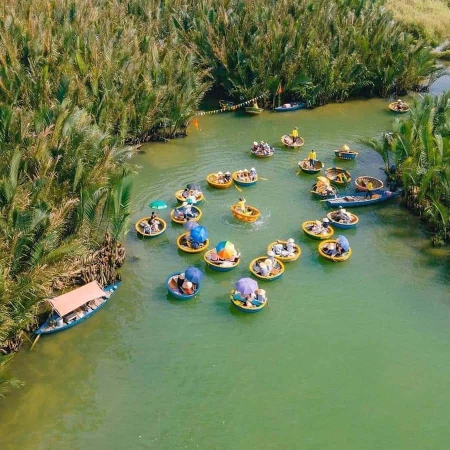 Hoi An : Bamboo Basket Boat Tour with Transportation - Key takeaways before you go