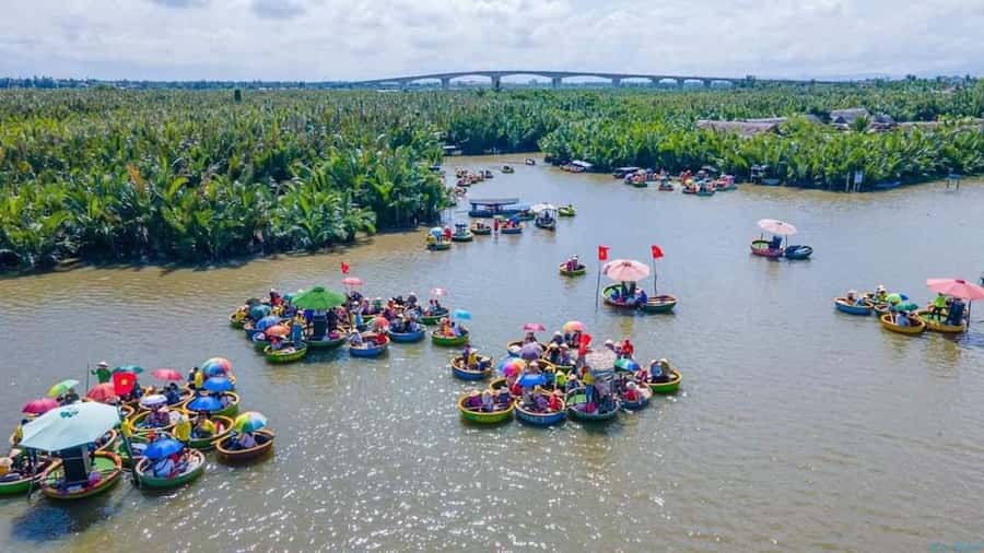 Hoi An : Bamboo Basket Boat Tour with Transportation - Bay Mau Coconut Forest, and Why a Basket Boat Works