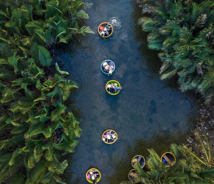 Hoi An: Basket Boat and fishing Crabs Tour - Coconut forest ecosystem spotting: birds, animals, and the in-between details
