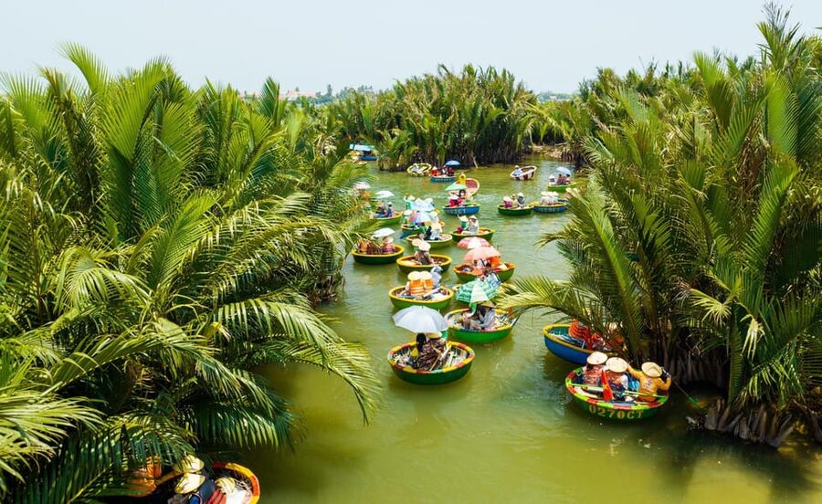 Hoi An: Basket boat tour at the coconut village - Service and Guide Support, Including Ms Sophie’s Help