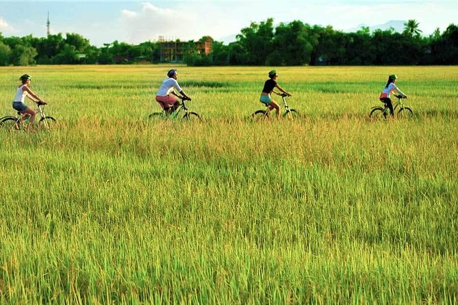 Hoi An Bicycle And Cooking Class Tour - Cam Thanh and Bay Mau coconut forest: the basket boat experience