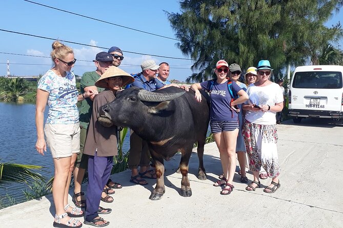 Hoi An Bicycle And Cooking Class Tour - Value check: why $30.47 can work if you want hands-on