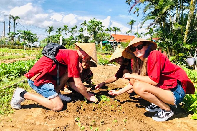 Hoi An bicycle tour to beautiful countryside - Tra Que vegetable village farm tasks: the main event