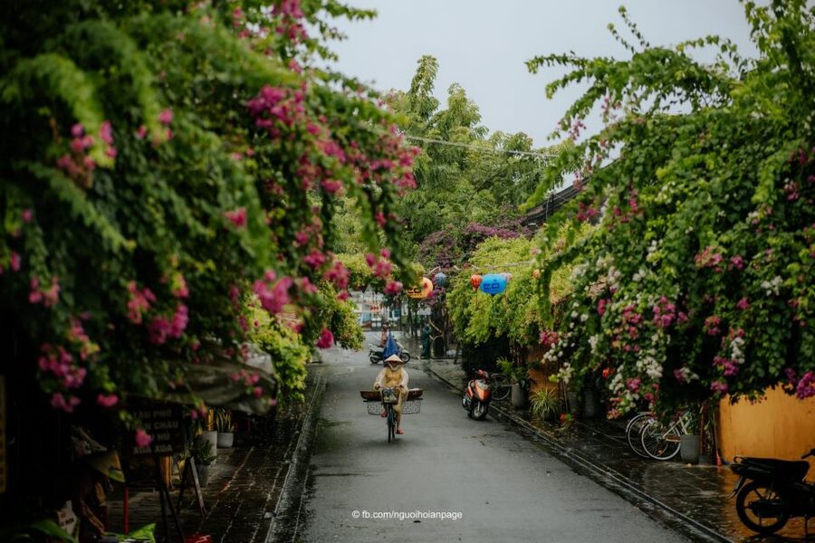 Hoi An: City Tour, Banh my and Coffee - Should you book this tour or skip it?