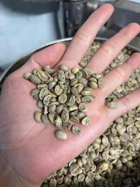 Hoi An:Coffee Making Class (Coffee: egg, Salt, Coconut, ...) - Key Things You Should Know