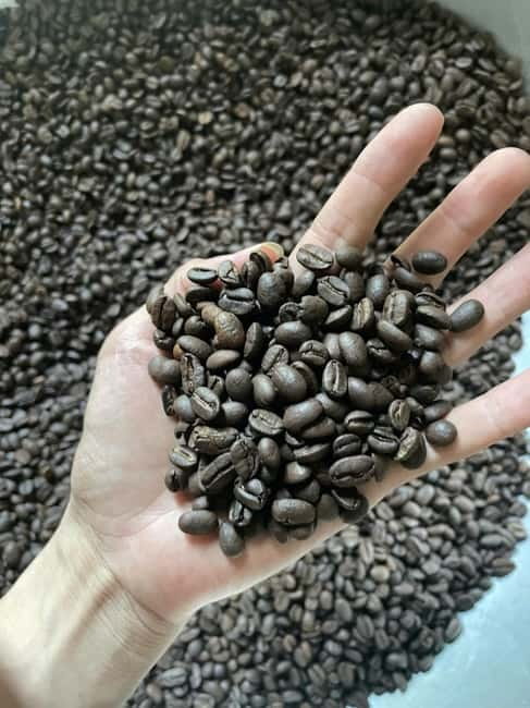 Hoi An:Coffee Making Class (Coffee: egg, Salt, Coconut, ...) - A Roastery Stop in Central Hoi An That Feels Like a Local Rhythm