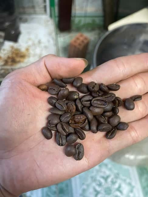 Hoi An:Coffee Making Class (Coffee: egg, Salt, Coconut, ...) - Choosing Your Coffee: Phin Filter, Egg, Salt, or Coconut