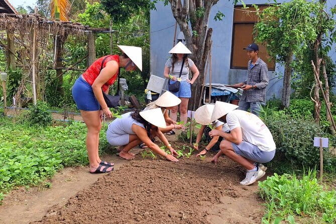 Hoi An Cooking Class & Vespa Cooking Adventure Tour - From Vespa pickup to rice fields, why the ride matters