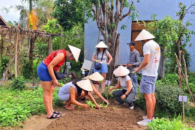 Hoi An Cooking Class & Vespa Cooking Adventure Tour - Price and value at $29, what you are really paying for