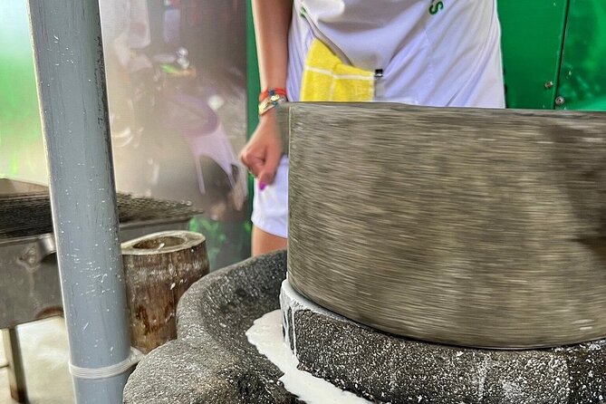 Hoi An cooking class with Basket Boat Tour - What you might cook, and why the class matters for home cooking