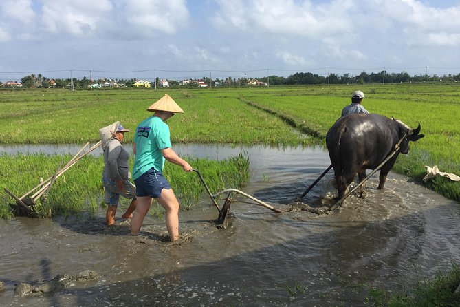 Hoi An Countrylife Tour Experience & Vietnamese Set Menu - Key highlights at a glance