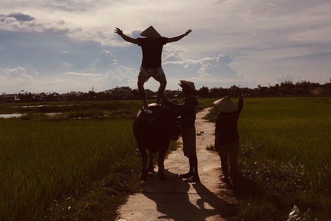 Hoi An Countrylife Tour Experience & Vietnamese Set Menu - Cam Thanh ecological rice paddy farm: rice work, buffalo rides, and photo time