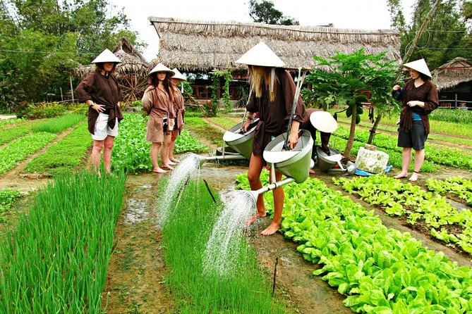 Hoi An Countrylife Tour Experience & Vietnamese Set Menu - Thanh Ha pottery village: centuries-old clay work and old-house streets