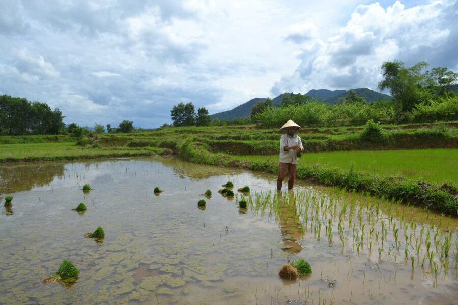 Hoi An Countryside Bicycle Tour : 25 Km Real Vietnam - Key things that make this tour worth your morning