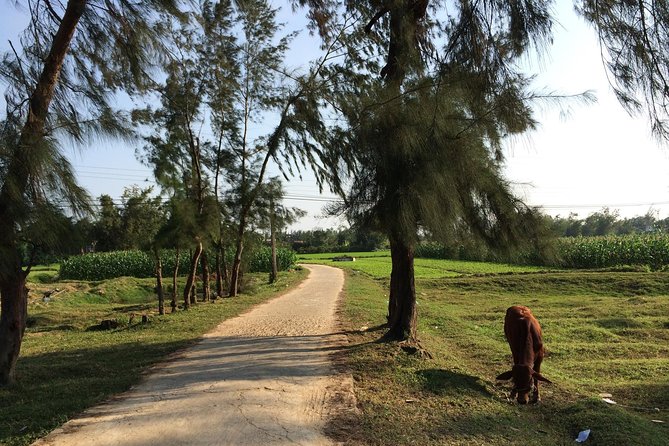 Hoi An Countryside bike tour to Kim Bong village - Quang noodle lunch: why eating on tour is a win