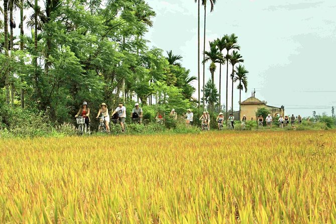 Hoi An: Countryside bike tour to Kim Bong village - Rice paper, noodles, and woodworking work that feels practical