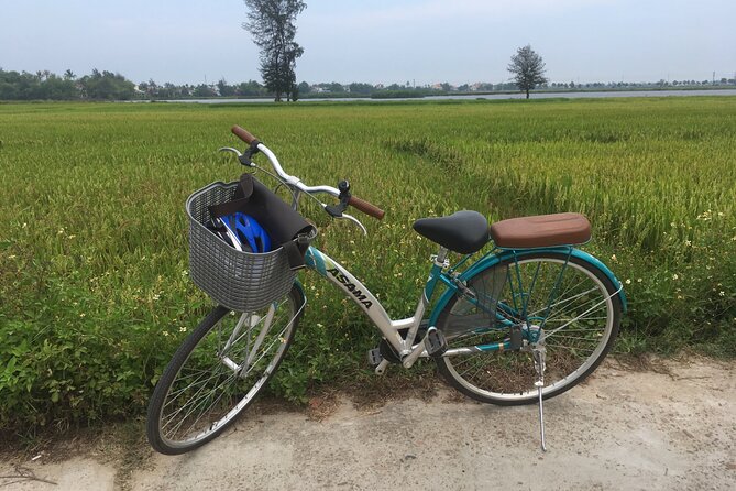 Hoi An countryside biking tour, water buffalo+ basket boat ride - Cam Thanh basket boat ride: learning fishing life from the water