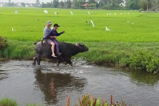 Hoi An Countryside - Buffalo Riding - Basket Boat Rowing - Tra Que Vegetable Village: meet farmers and try their tools for real