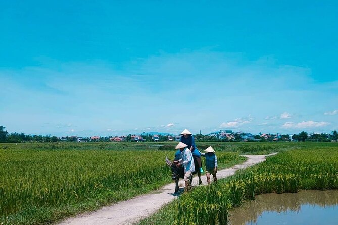 Hoi An Countryside - Buffalo Riding - Basket Boat Rowing - How the tour keeps you moving (and what to expect physically)